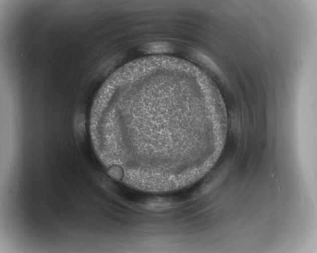 X0000103250549200809181607