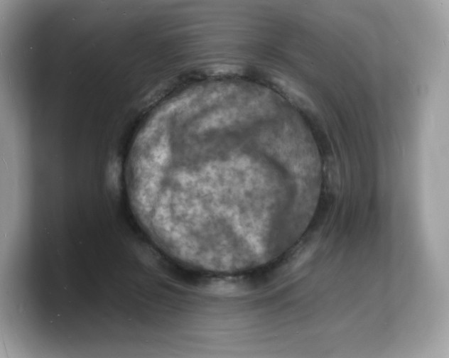 X0000103250550200809181607