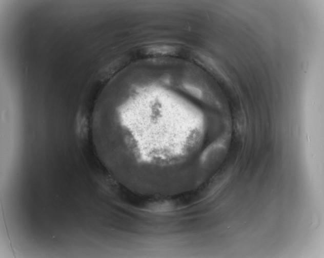 X0000103250551200809181607
