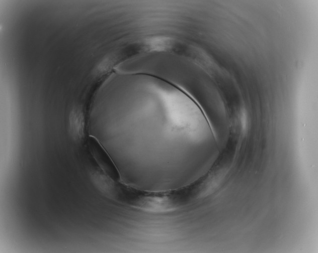 X0000103250552200809181607