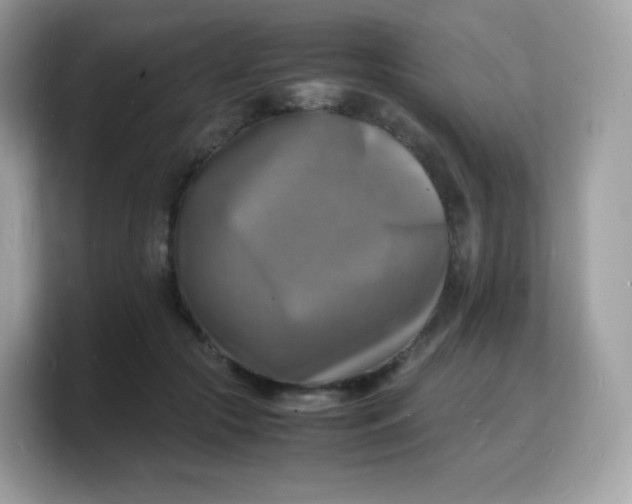 X0000103250553200809181607