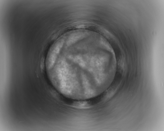 X0000103250554200809181607