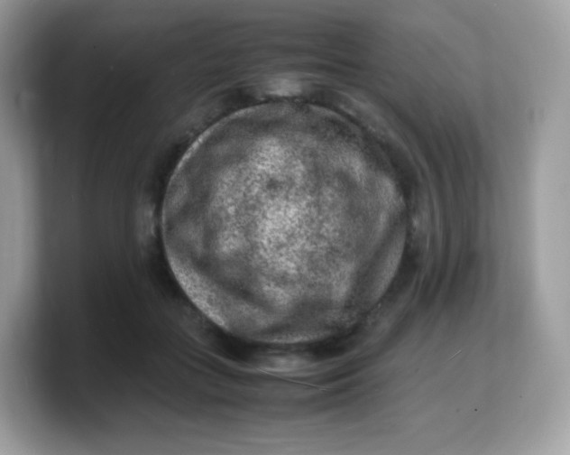 X0000103250555200809181607
