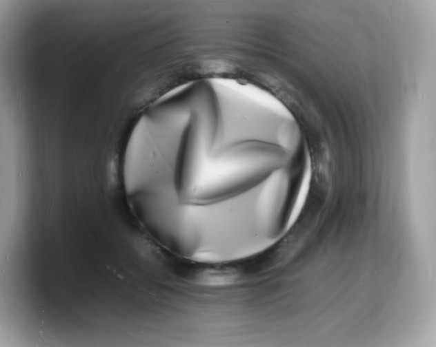 X0000103250556200809181607
