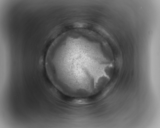 X0000103250557200809181607