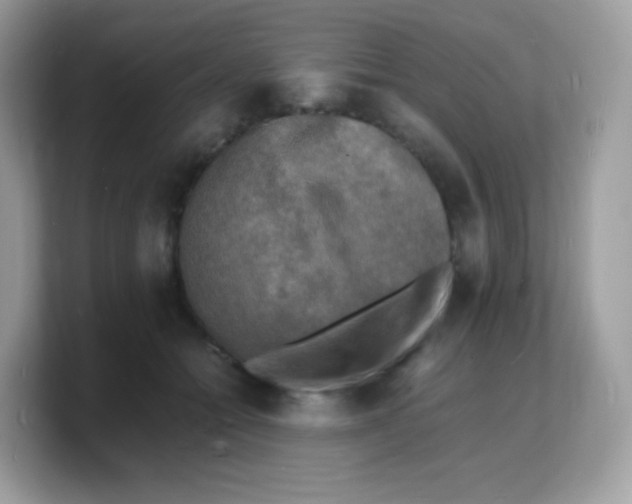 X0000103250558200809181607