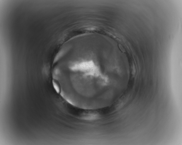 X0000103250559200809181607