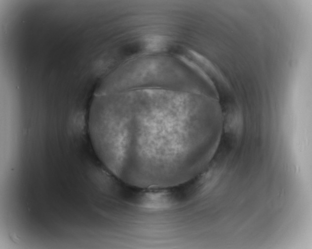 X0000103250560200809181607