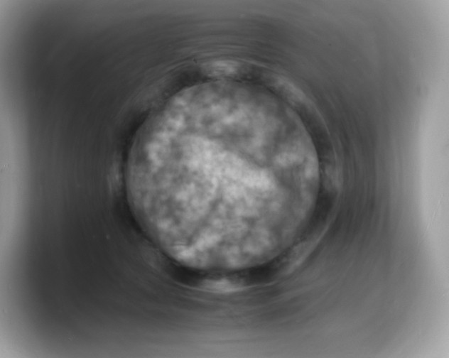 X0000103250561200809181607