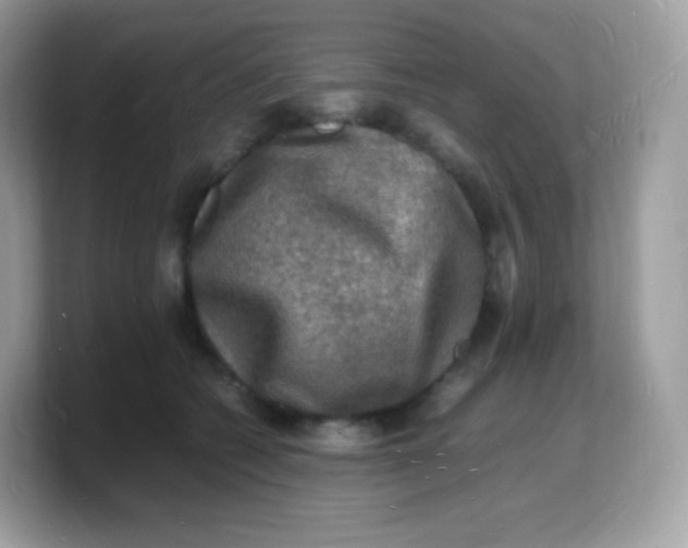 X0000103250562200809181607