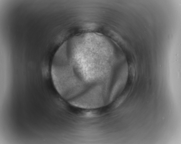 X0000103250564200809181607