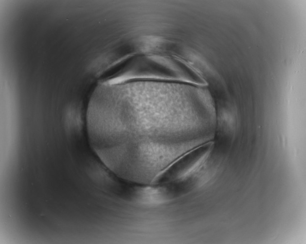 X0000103250566200809181607