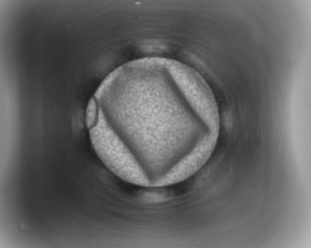 X0000103250567200809181607