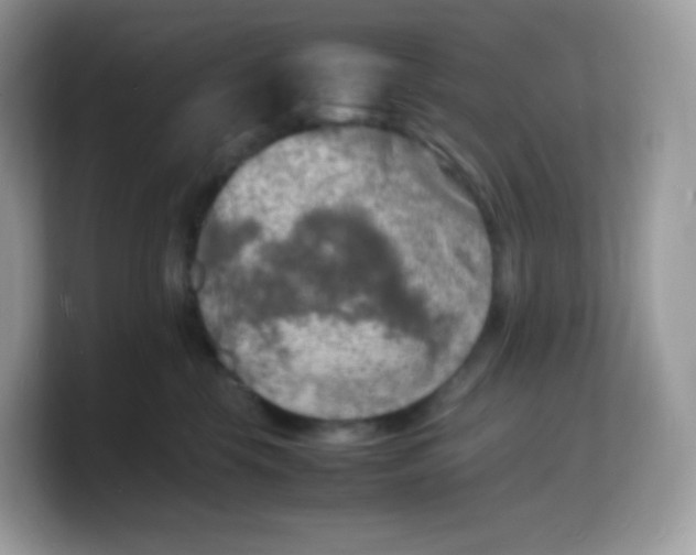 X0000103250569200809181607