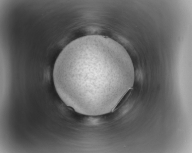 X0000103250570200809181607