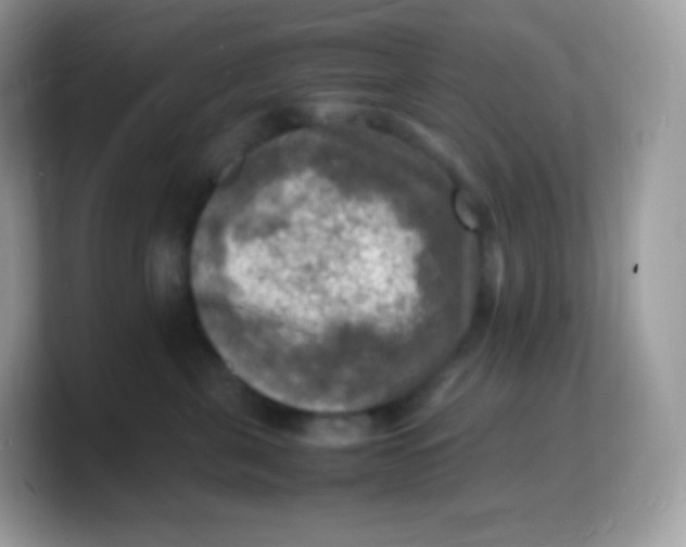X0000103250571200809181607