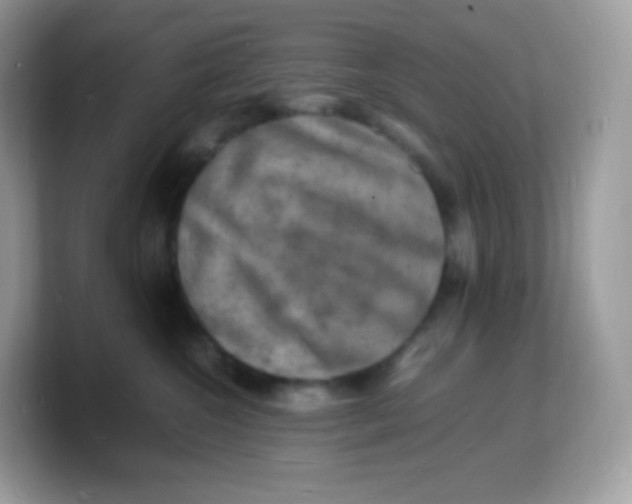 X0000103250572200809181607