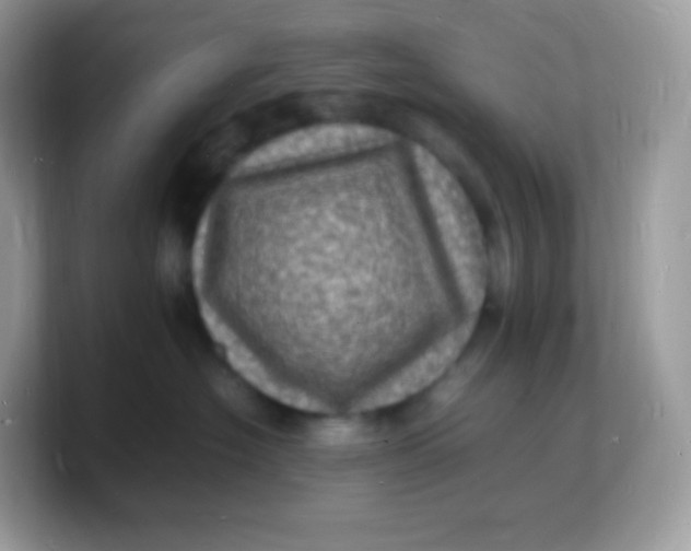 X0000103250574200809181607