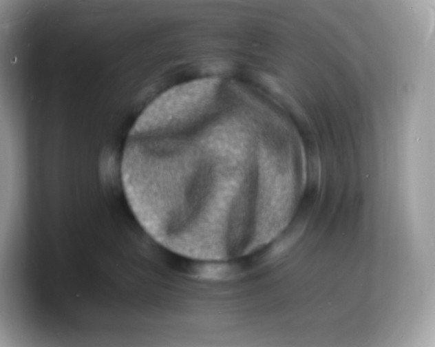 X0000103250575200809181607