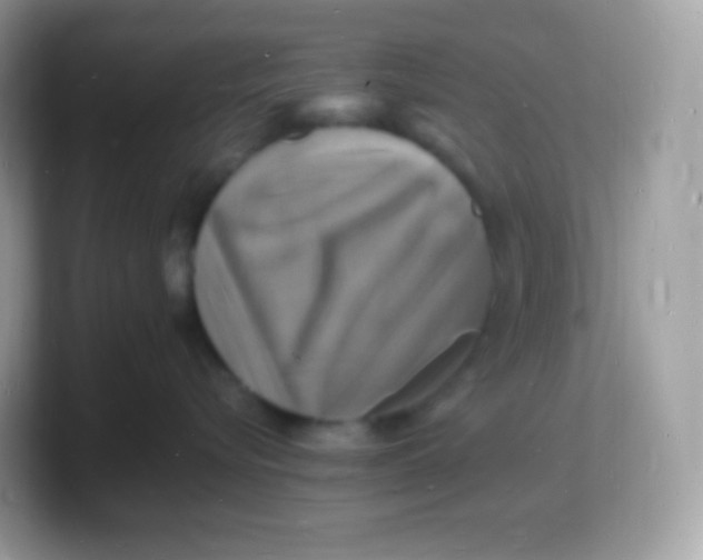 X0000103250576200809181607