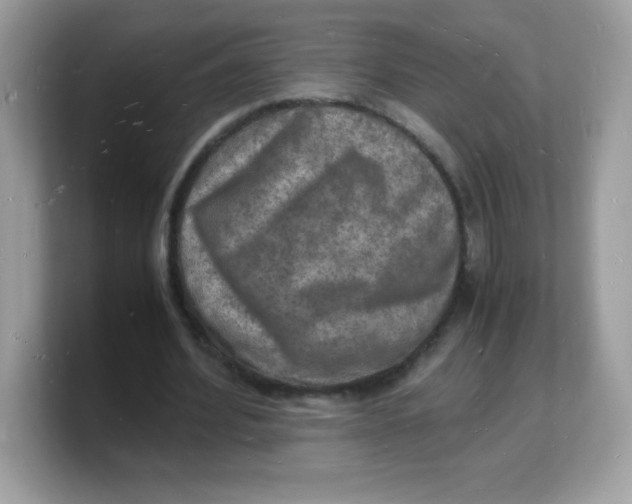 X0000103250580200809181606