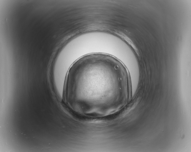 X0000103250581200809181606