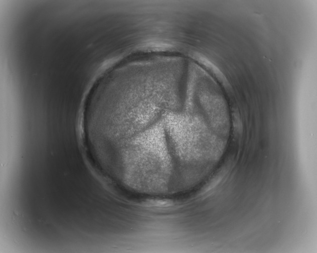 X0000103250582200809181606