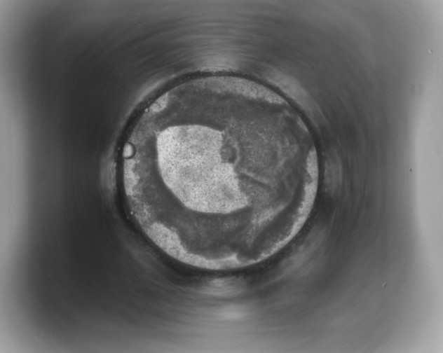 X0000103250584200809181606