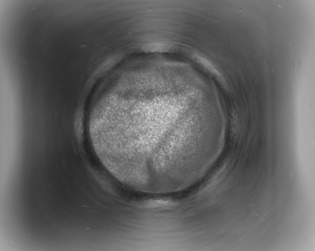 X0000103250586200809181606