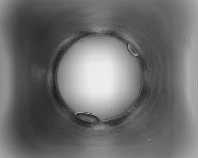 X0000103250587200809181606
