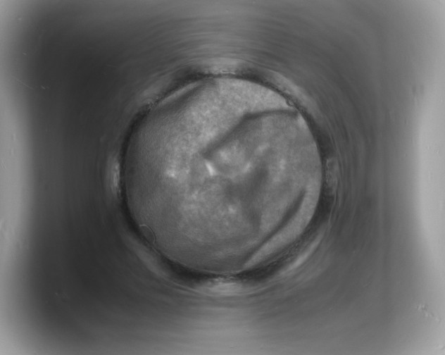 X0000103250589200809181606