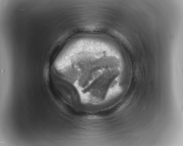 X0000103250590200809181606