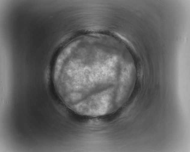 X0000103250591200809181606