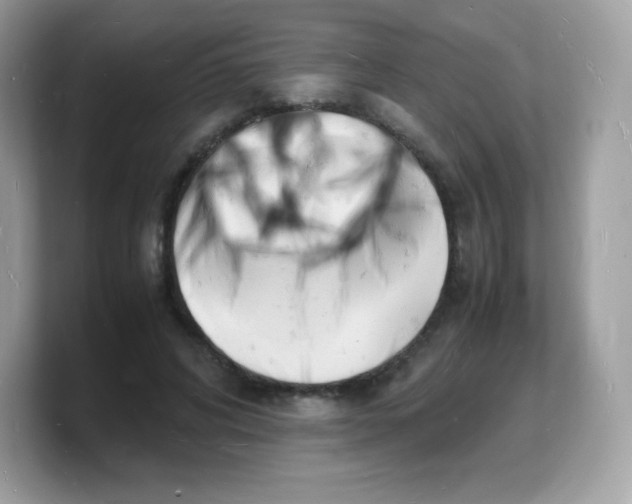 X0000103250592200809181606