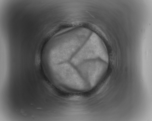 X0000103250593200809181606