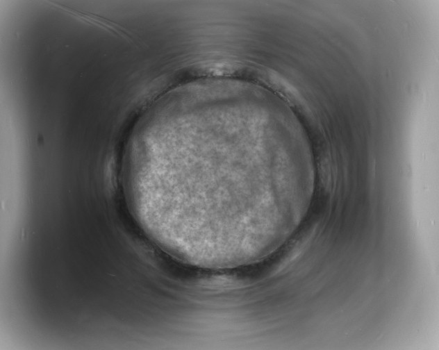 X0000103250594200809181606