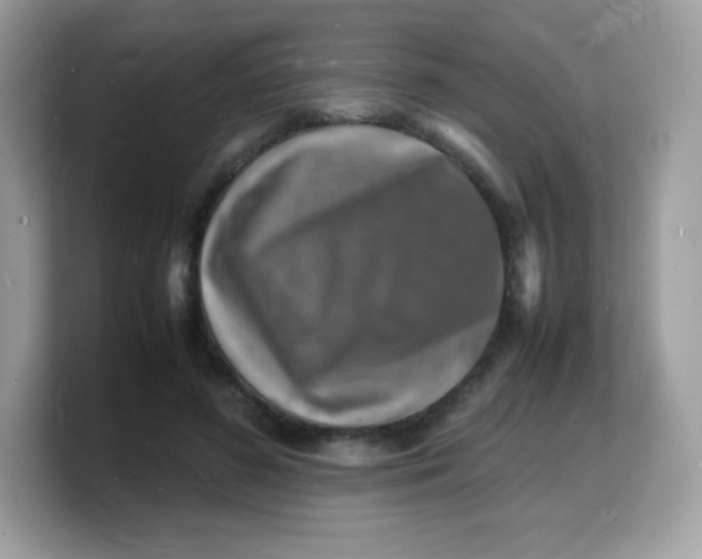 X0000103250596200809181606