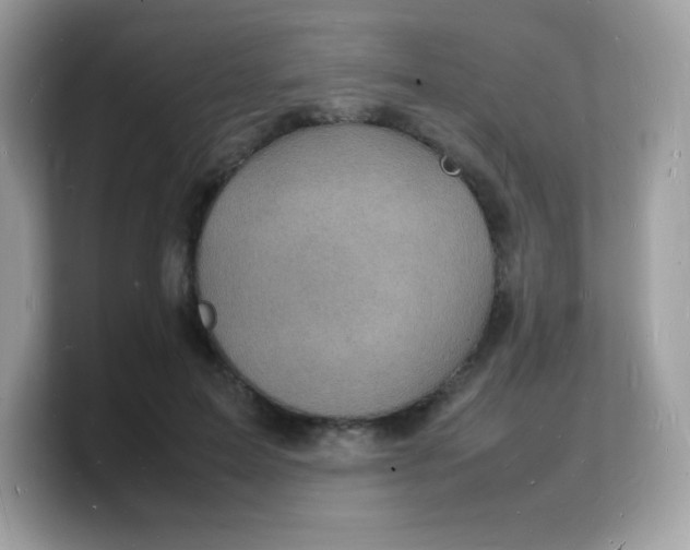 X0000103250599200809181606
