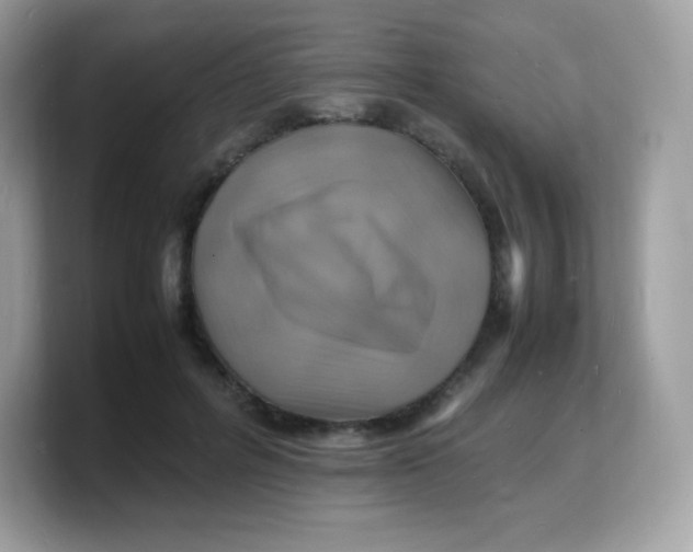 X0000103250600200809181606