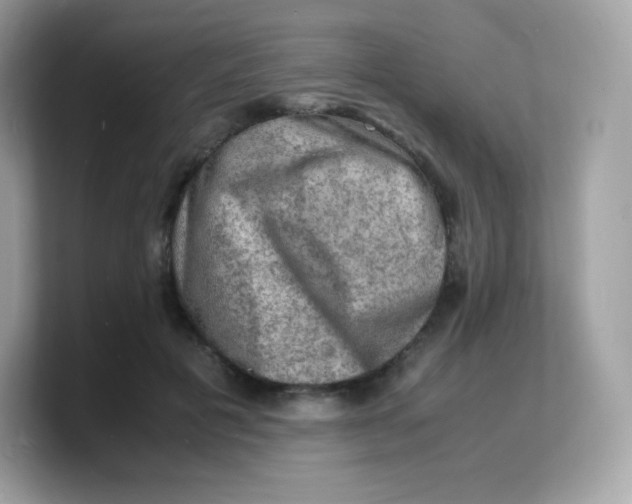 X0000103250601200809181606