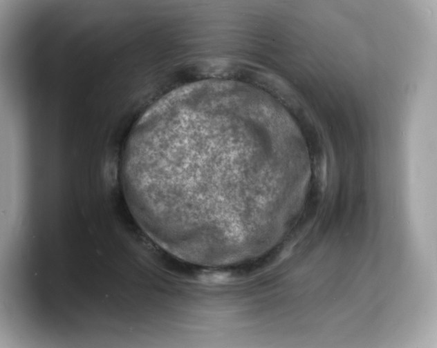 X0000103250602200809181606