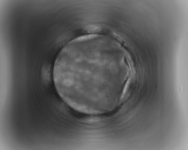 X0000103250604200809181606