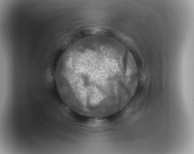 X0000103250607200809181606