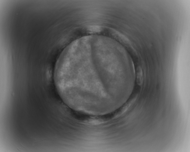 X0000103250608200809181606