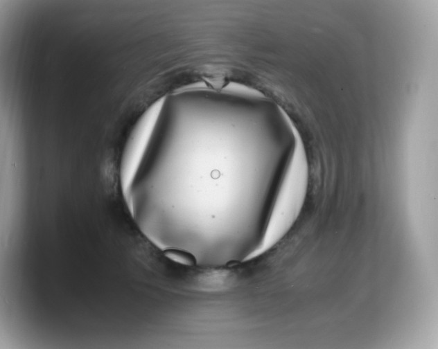 X0000103250609200809181606