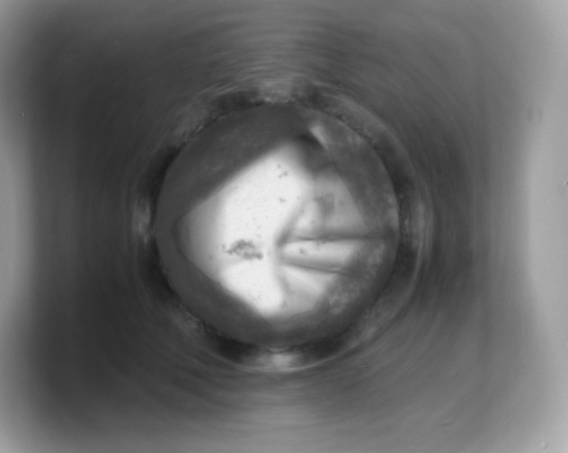 X0000103250610200809181606