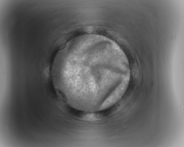 X0000103250611200809181606