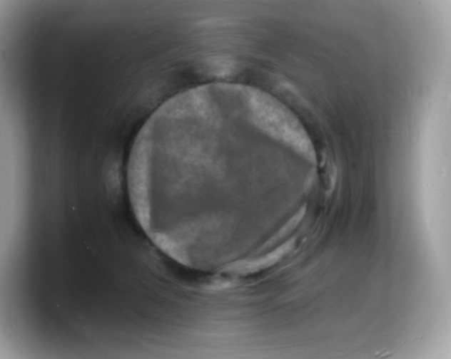 X0000103250612200809181606