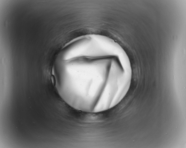 X0000103250613200809181606