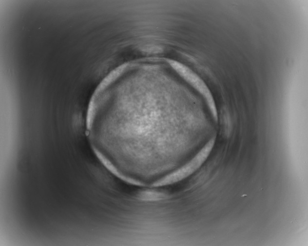 X0000103250614200809181606